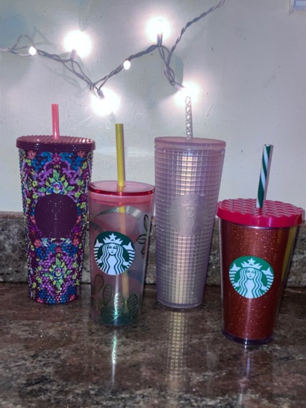 Starbucks Tumbler Lot of 4 - 2025 Fall 2022 Spring 2020 Spring & Holiday  EUC